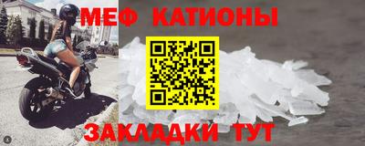 мяу мяу мука Будённовск